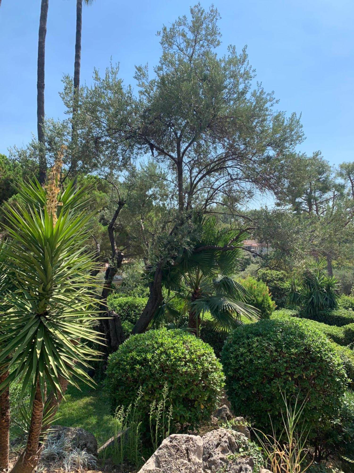 רוקברון-קאפ-מרט French Riviera Apartment With Swimming Pool And Free Parking Near Monaco מראה חיצוני תמונה